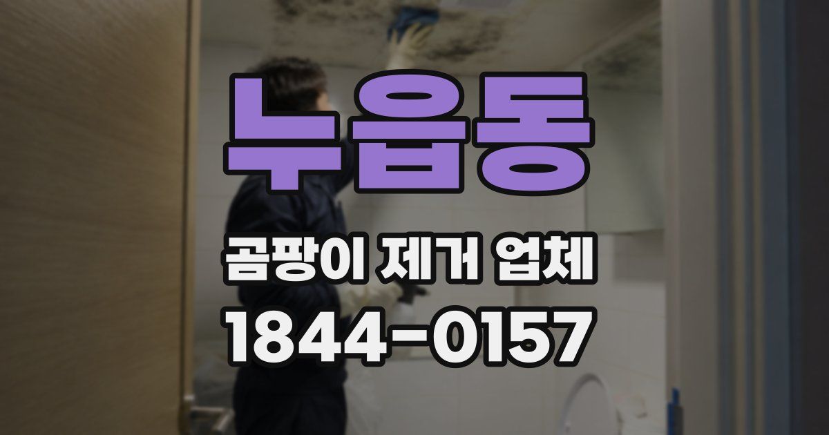 누읍동 곰팡이 제거 업체