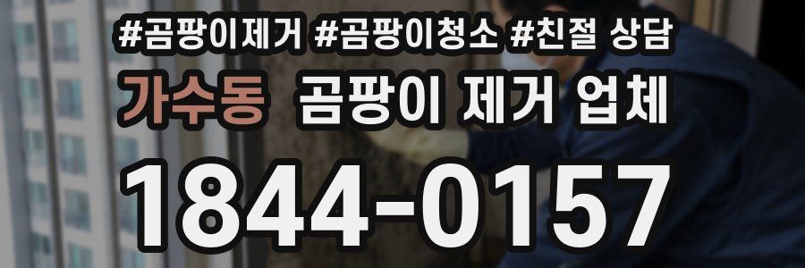 가수동 곰팡이 제거 업체