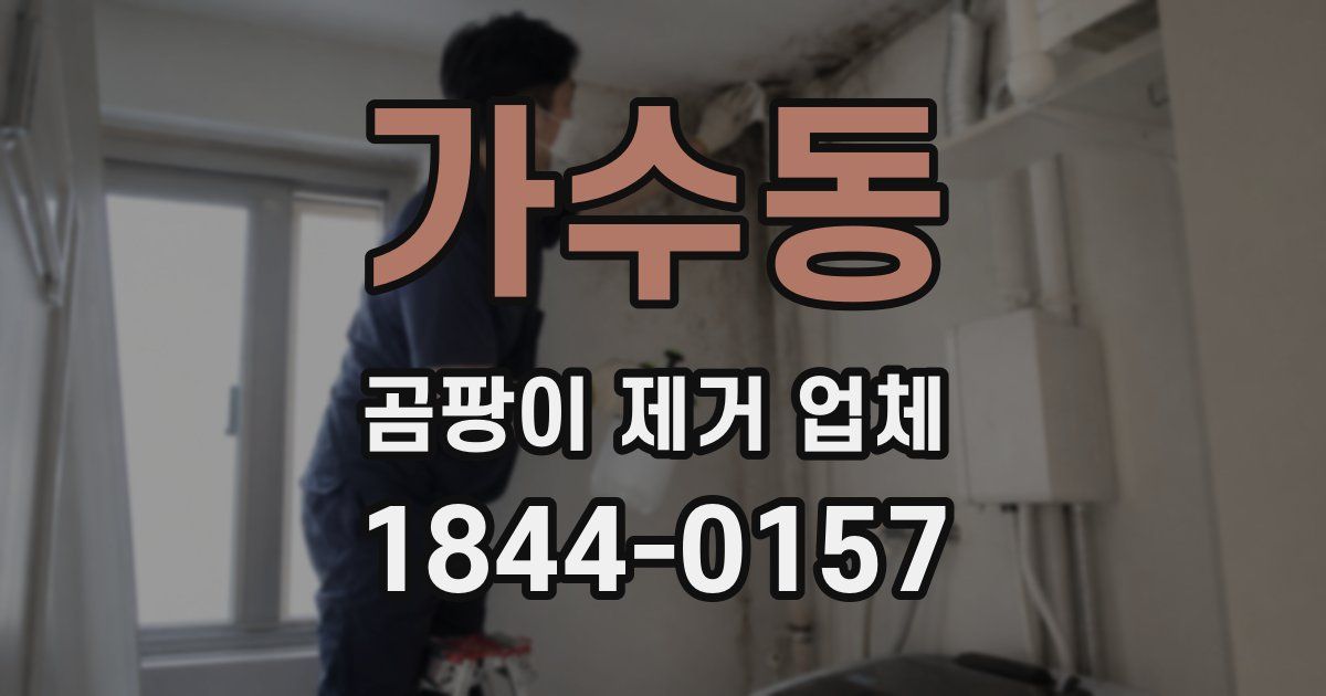 가수동 곰팡이 제거 업체