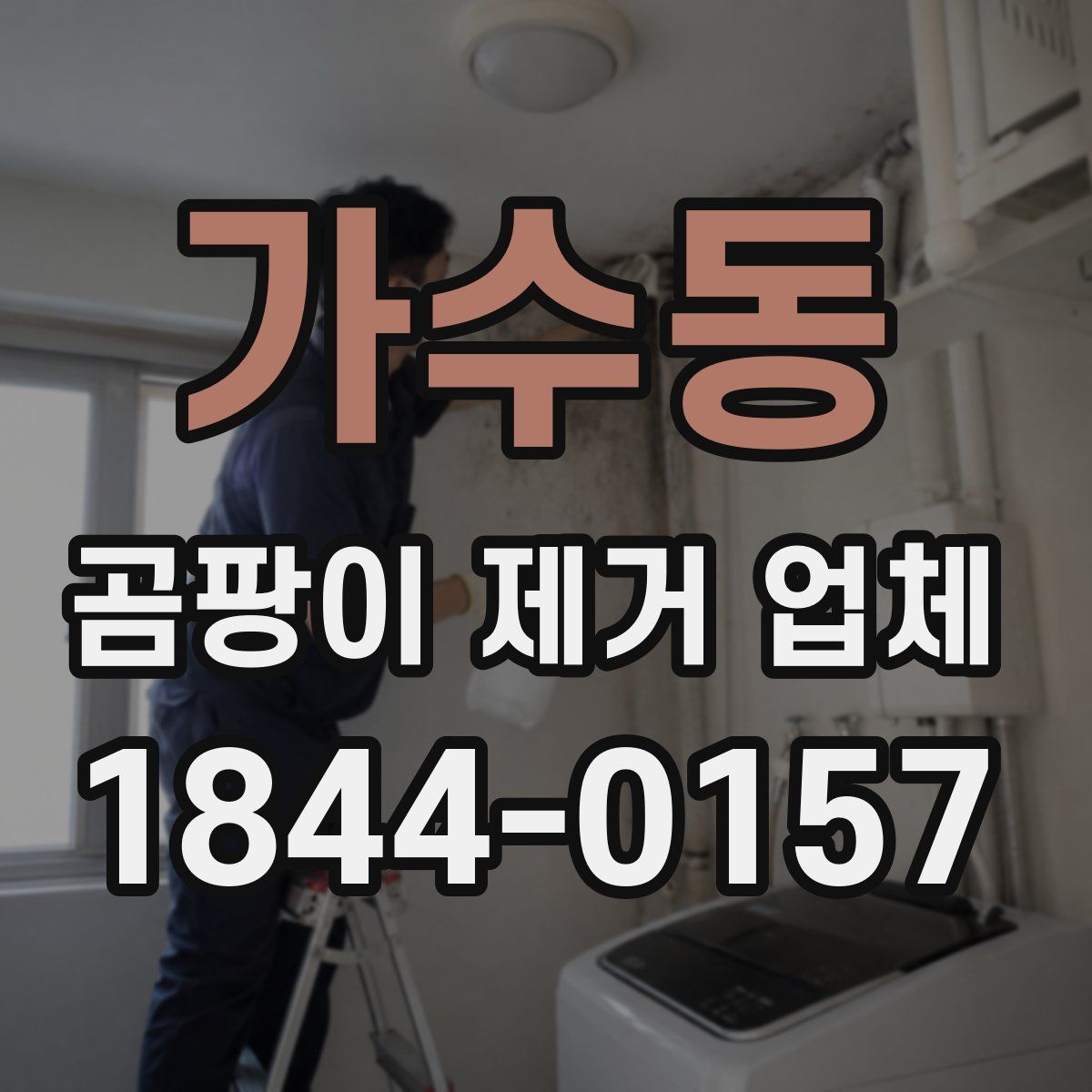 가수동 곰팡이 제거 업체