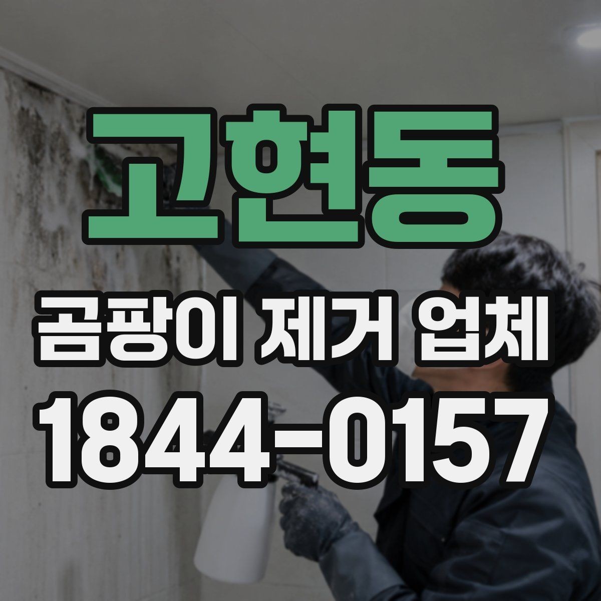 고현동 곰팡이 제거 업체 작업 범위는 어디까지일까