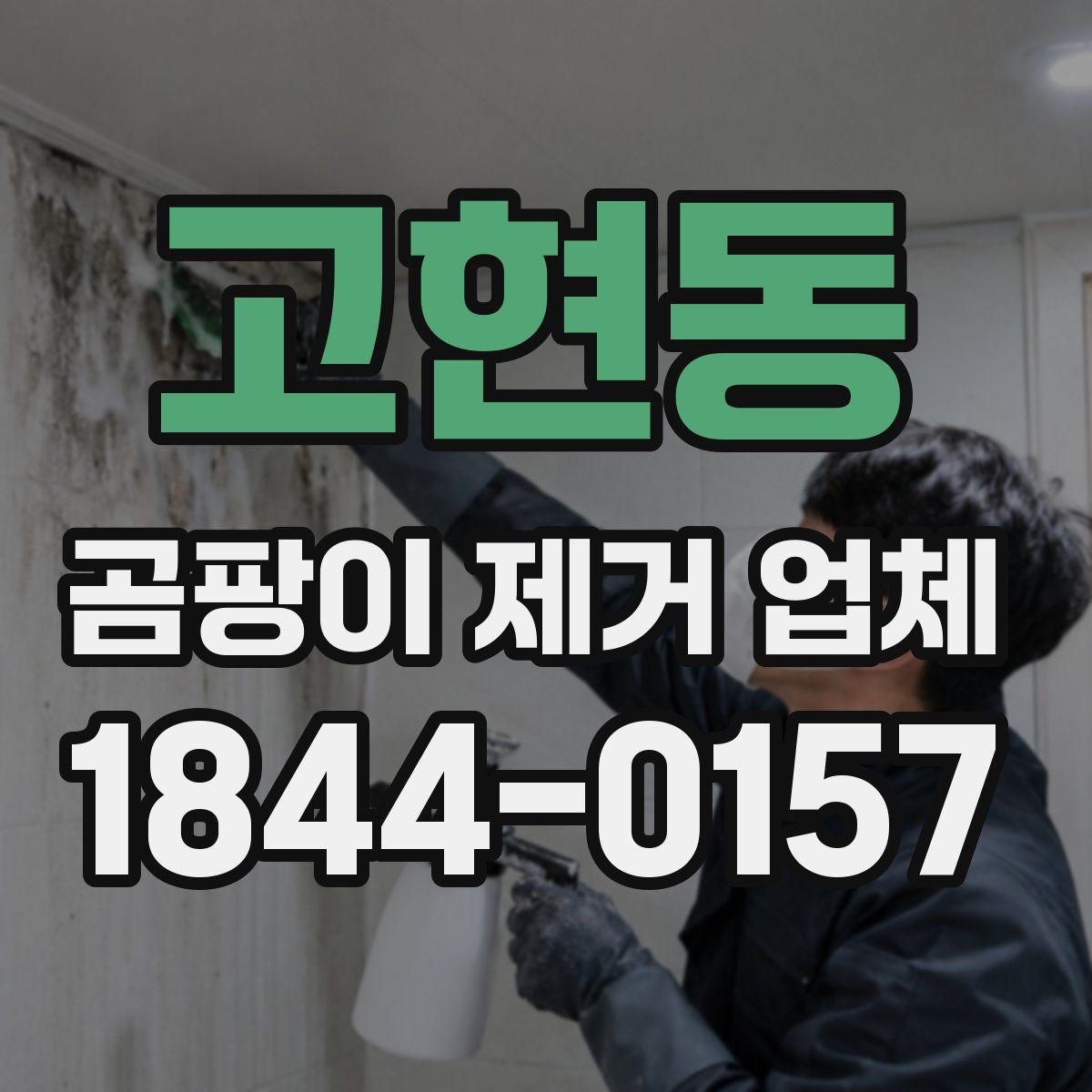 고현동 곰팡이 제거 업체