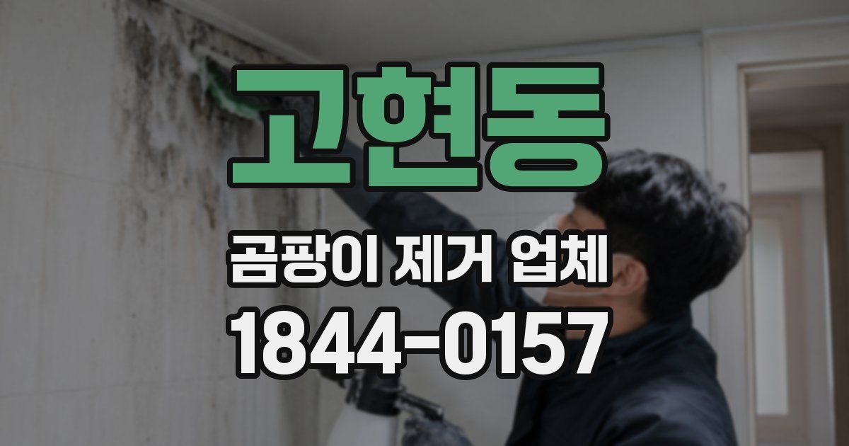 고현동 곰팡이 제거 업체