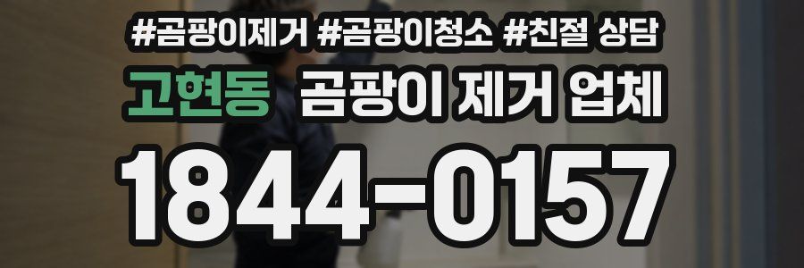 고현동 곰팡이 제거 업체