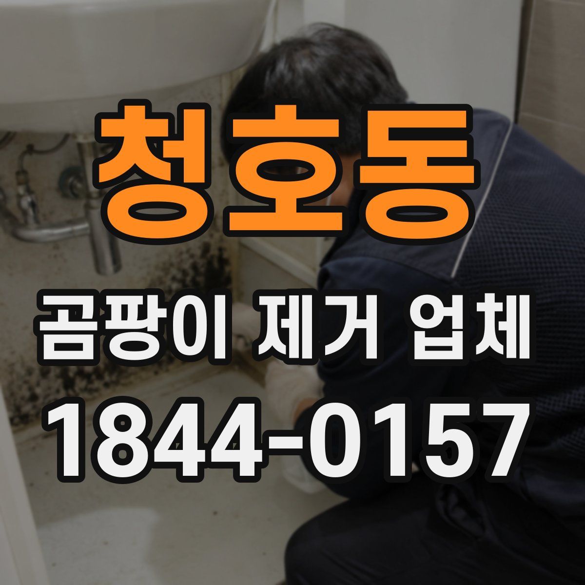 청호동 곰팡이 제거 업체