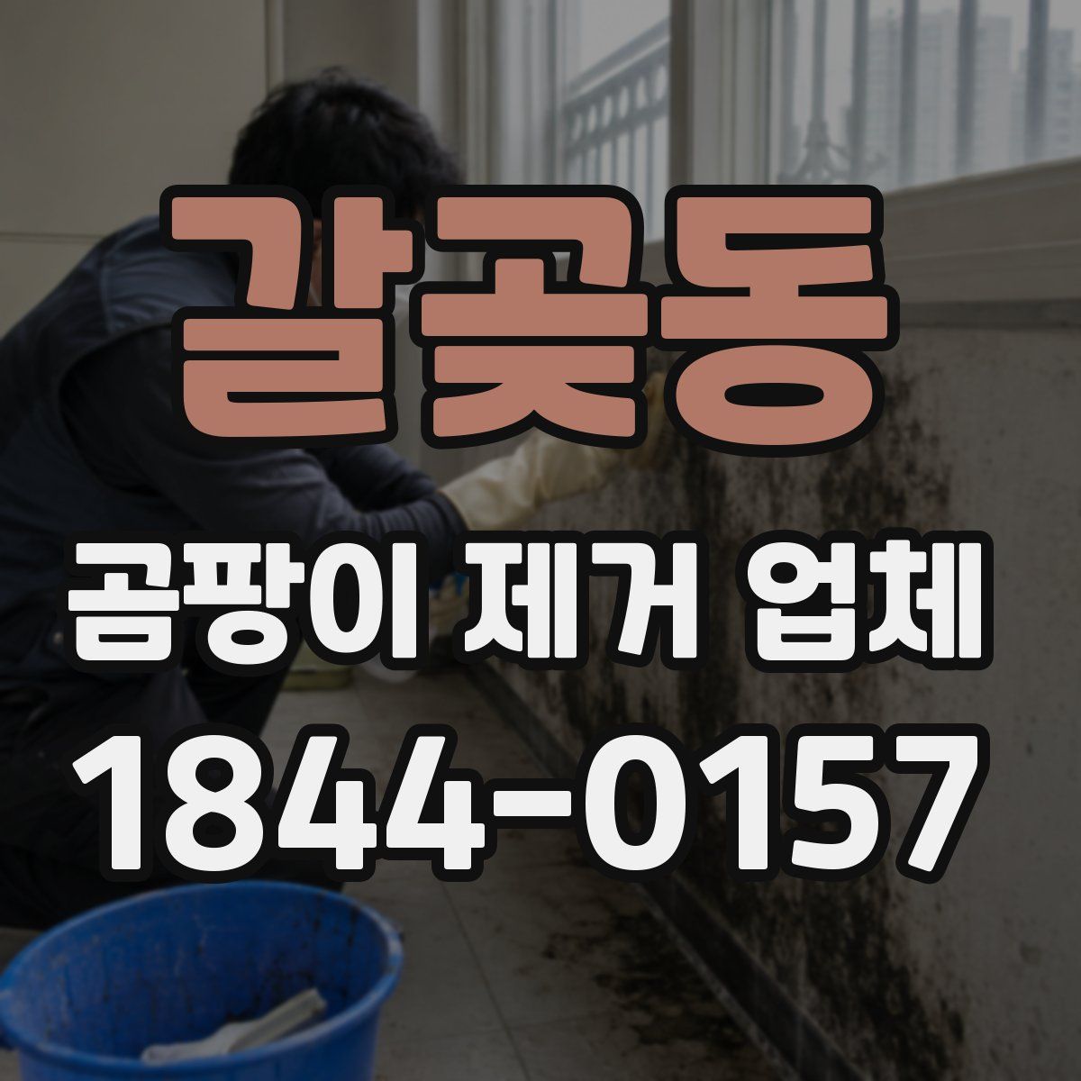 갈곶동 곰팡이 제거 업체
