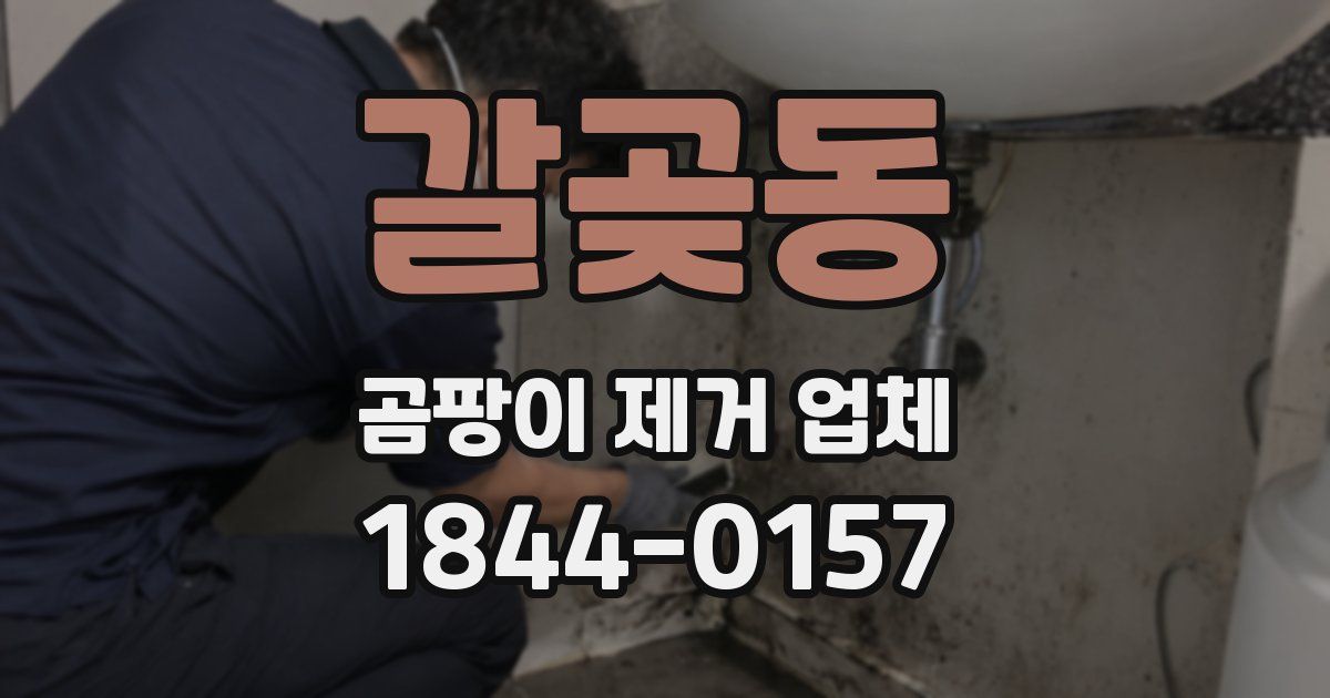 갈곶동 곰팡이 제거 업체