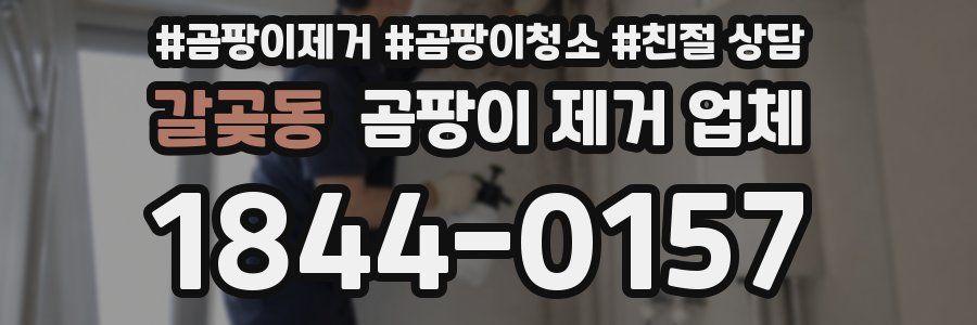 갈곶동 곰팡이 제거 업체