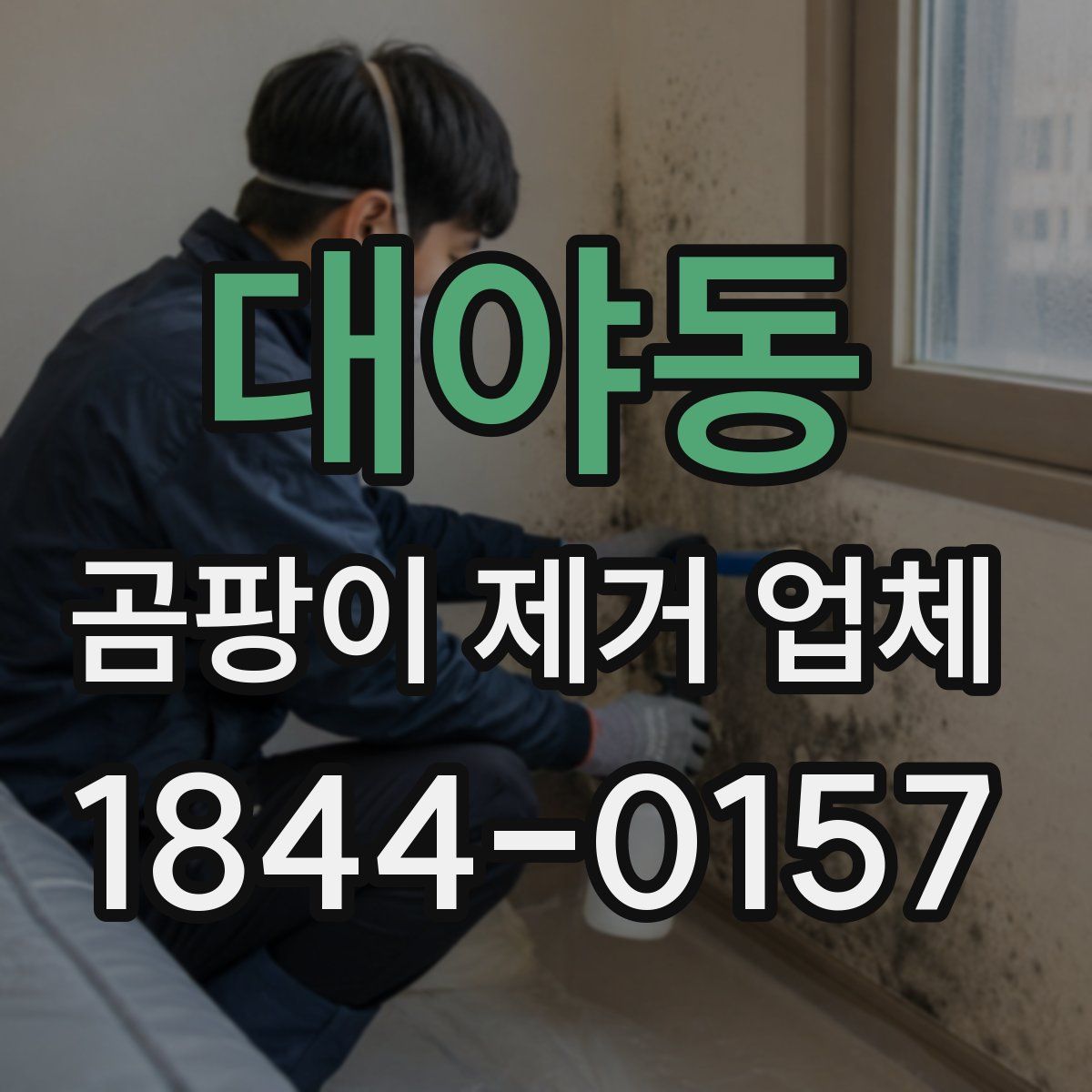 대야동 곰팡이 제거 업체