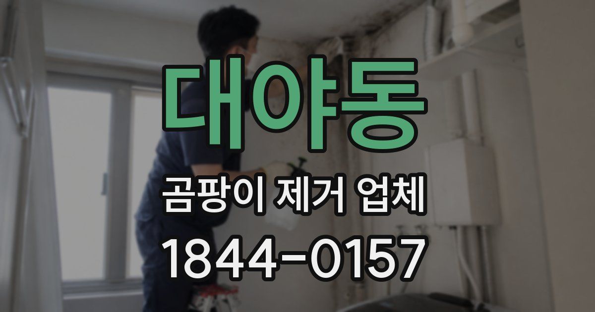 대야동 곰팡이 제거 업체