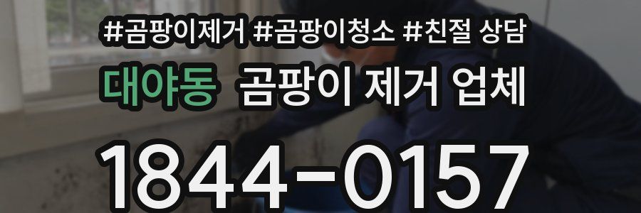 대야동 곰팡이 제거 업체