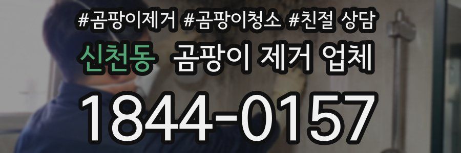 신천동 곰팡이 제거 업체