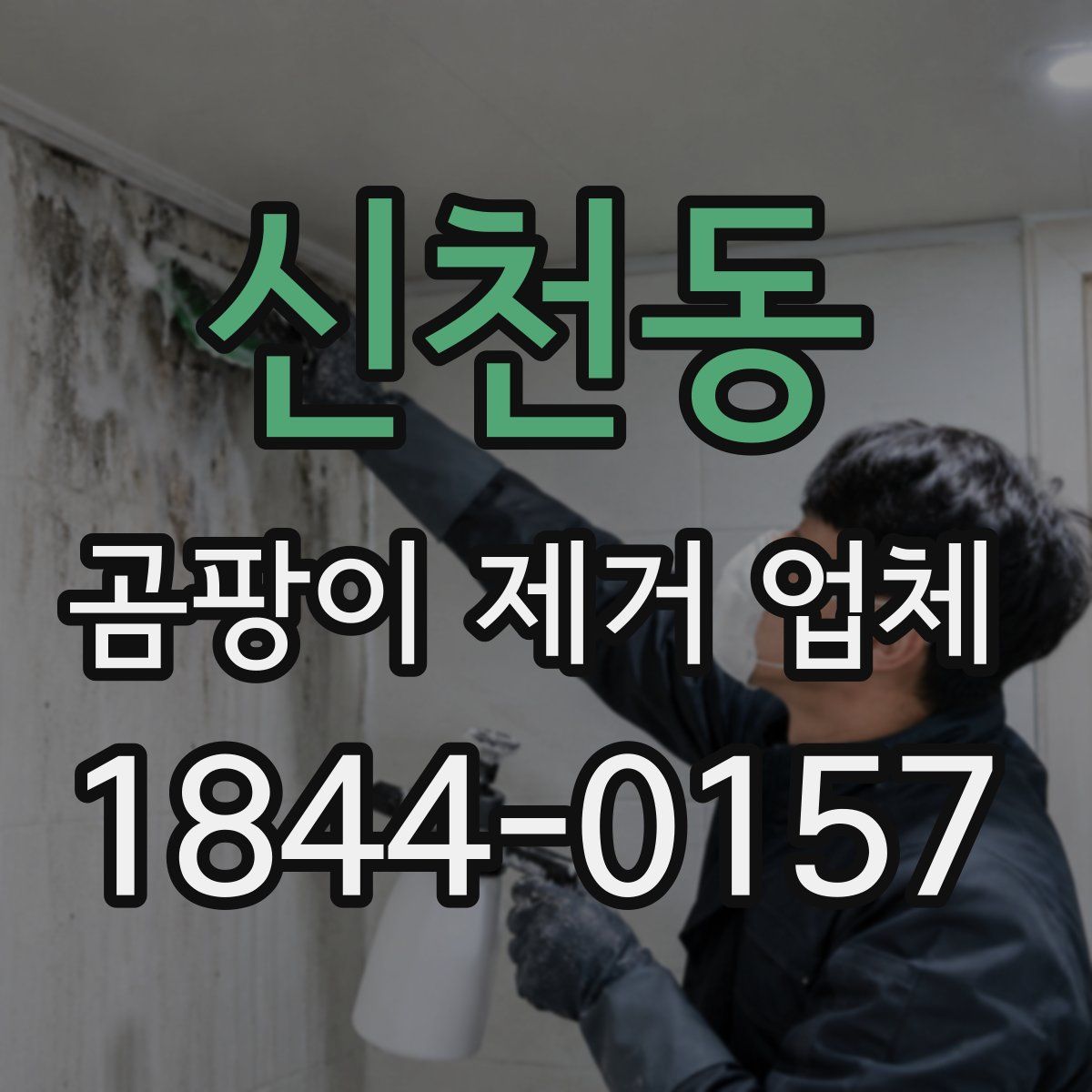 신천동 곰팡이 제거 업체