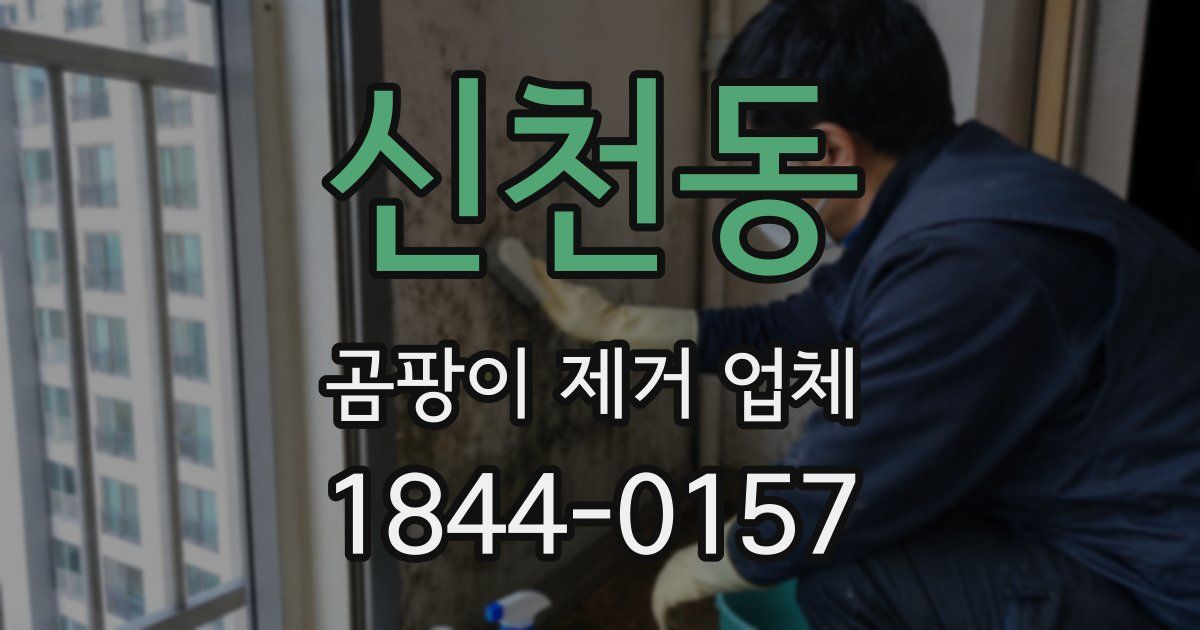 신천동 곰팡이 제거 업체