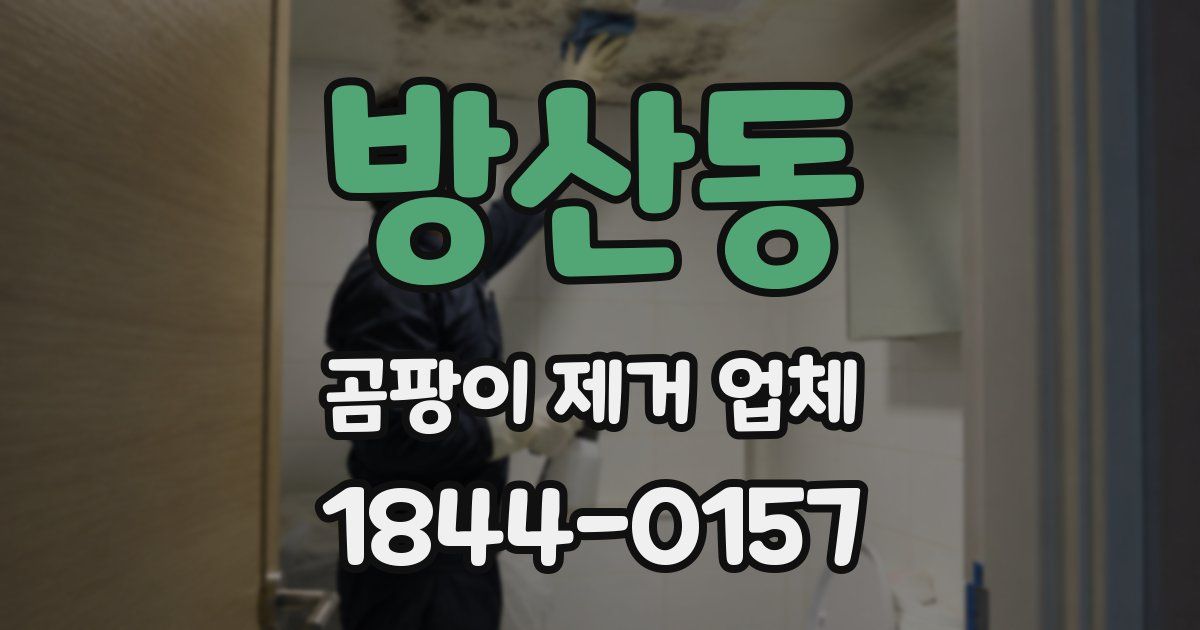 방산동 곰팡이 제거 업체