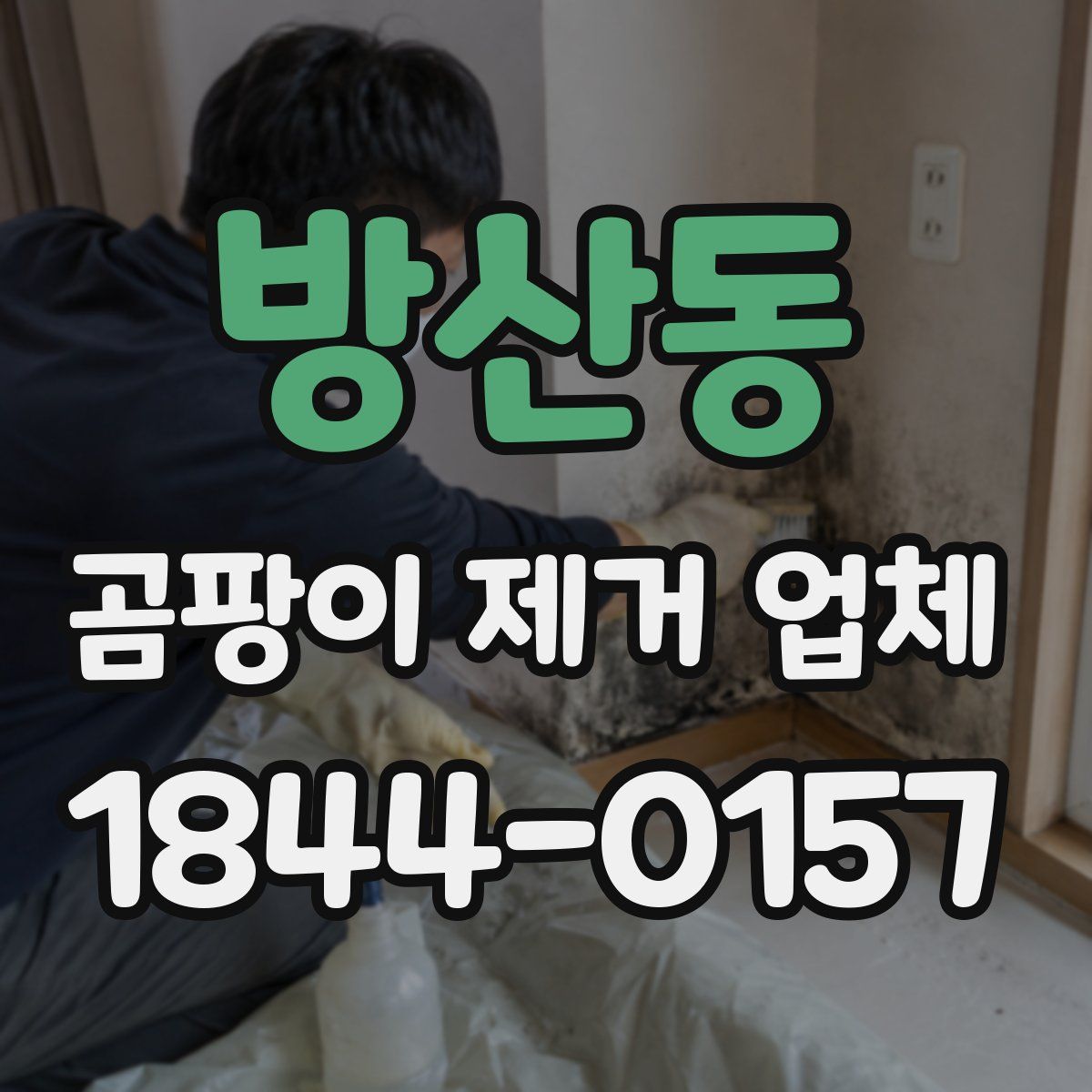 방산동 곰팡이 제거 업체