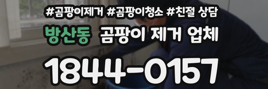방산동 곰팡이 제거 업체