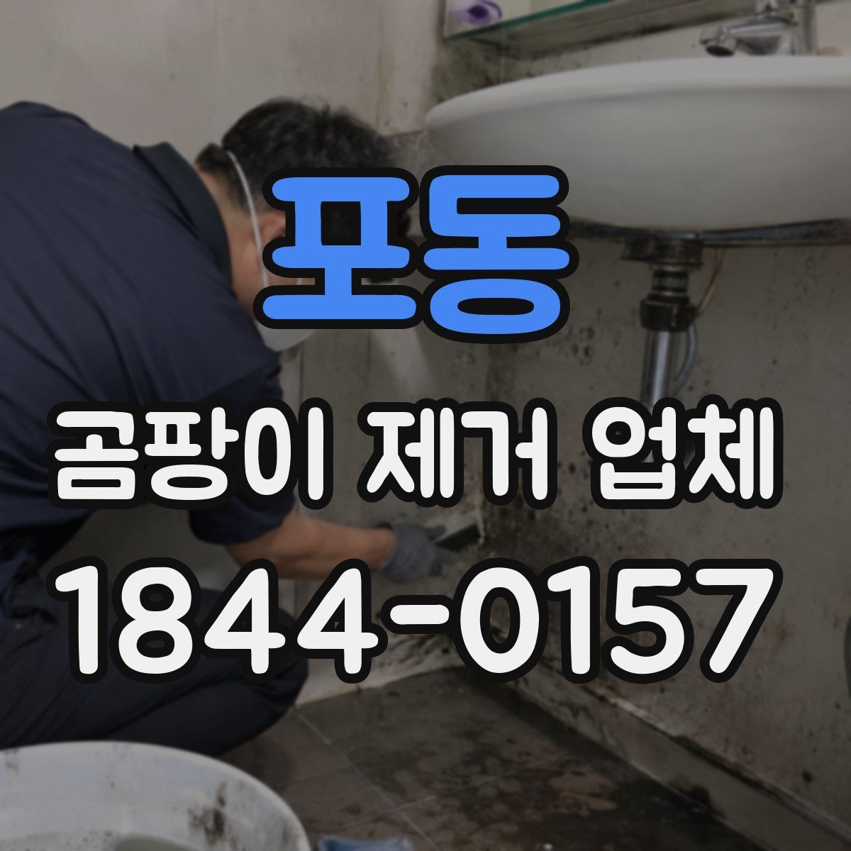 포동 곰팡이 제거 업체