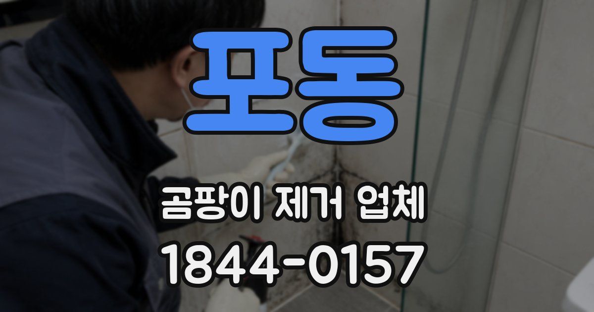 포동 곰팡이 제거 업체