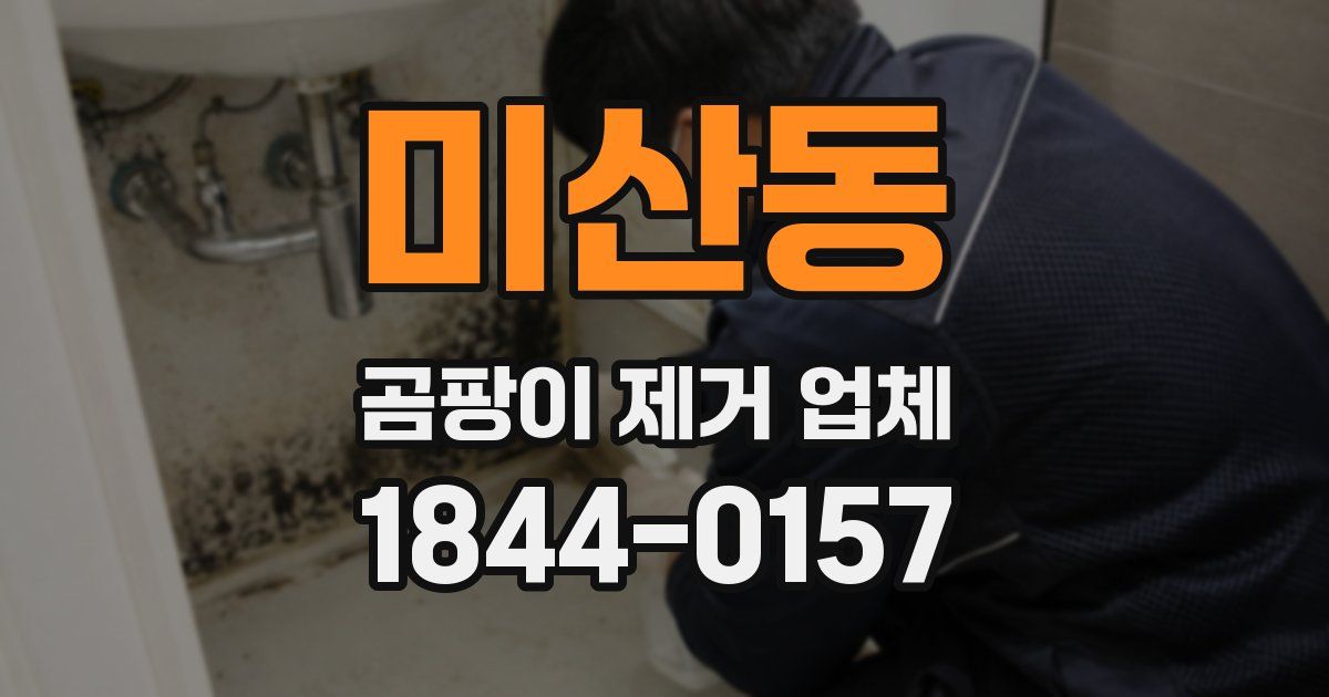 미산동 곰팡이 제거 업체