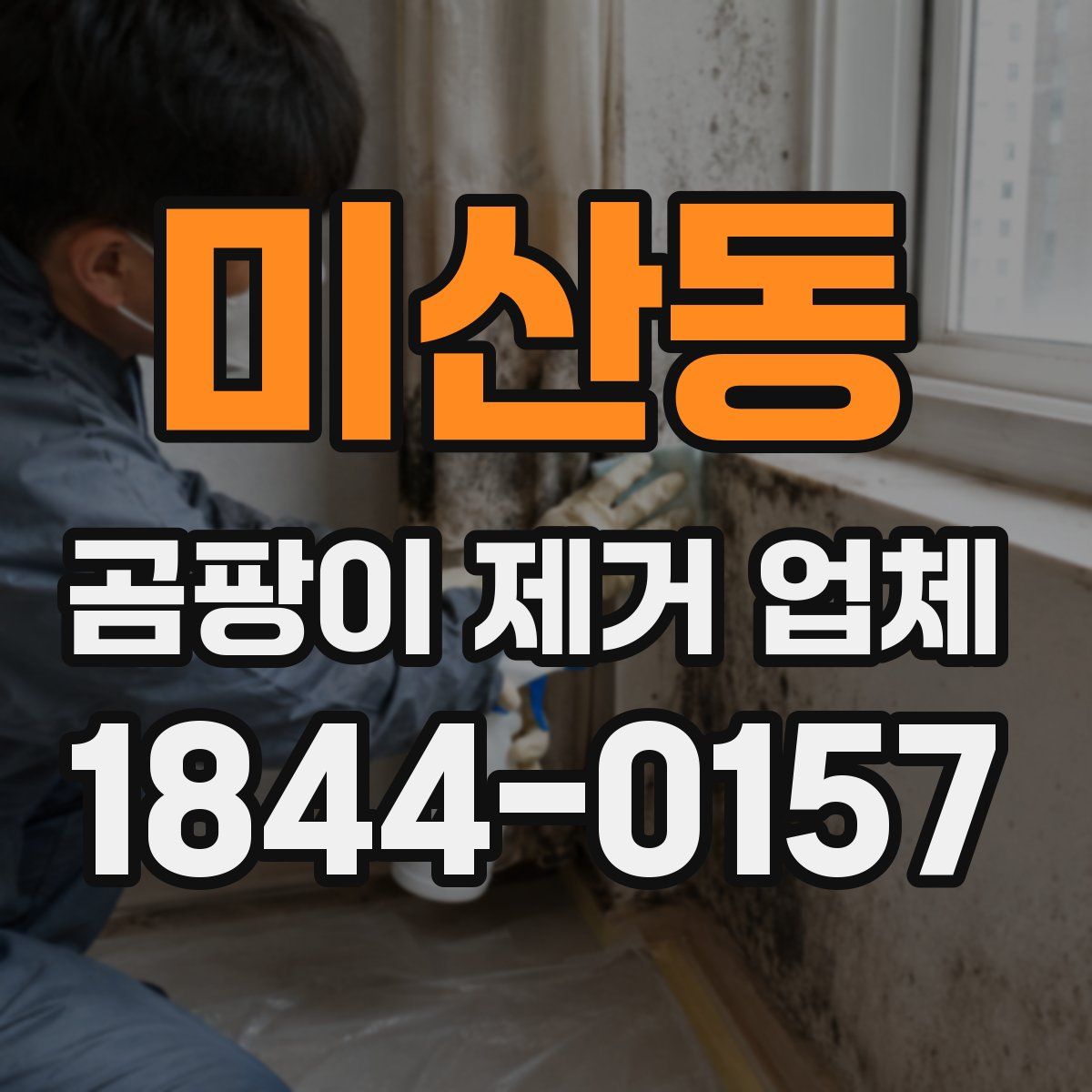 미산동 곰팡이 제거 업체