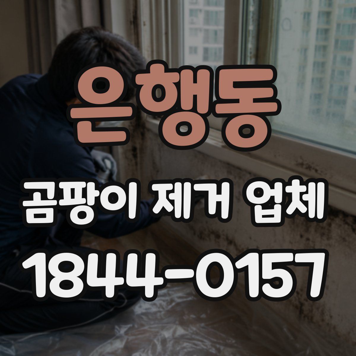 은행동 곰팡이 제거 업체