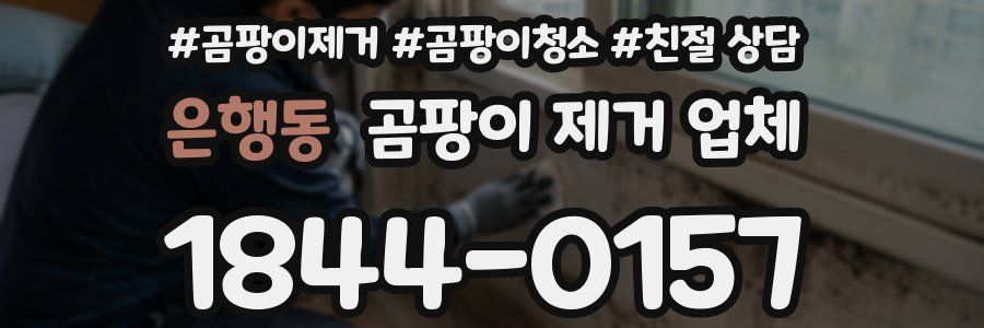 은행동 곰팡이 제거 업체
