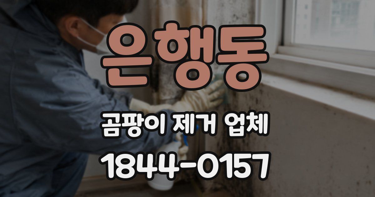 은행동 곰팡이 제거 업체