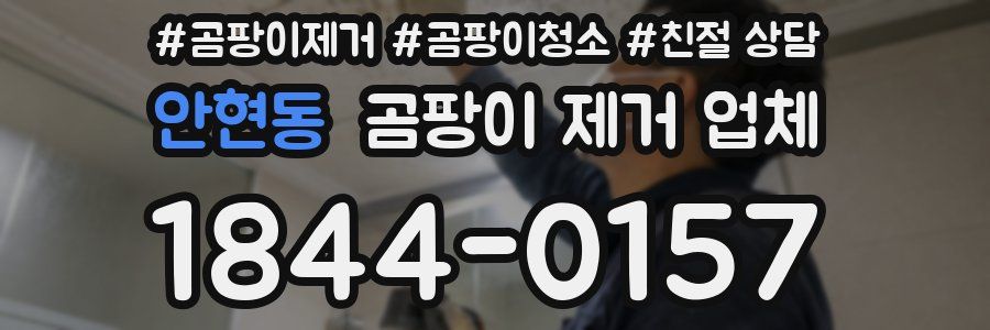 안현동 곰팡이 제거 업체