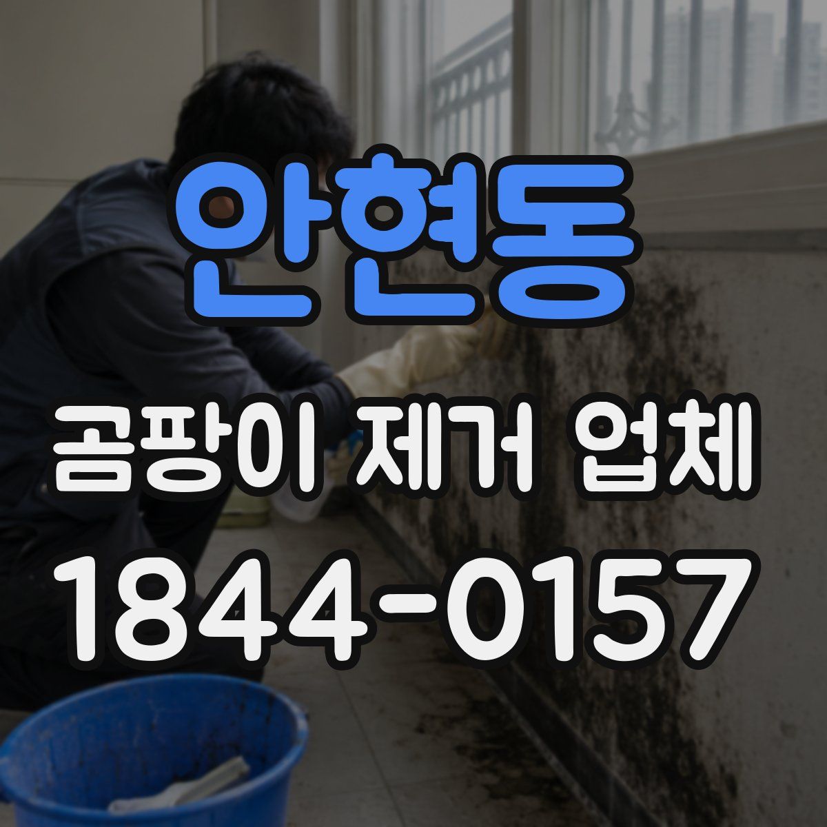 안현동 곰팡이 제거 업체
