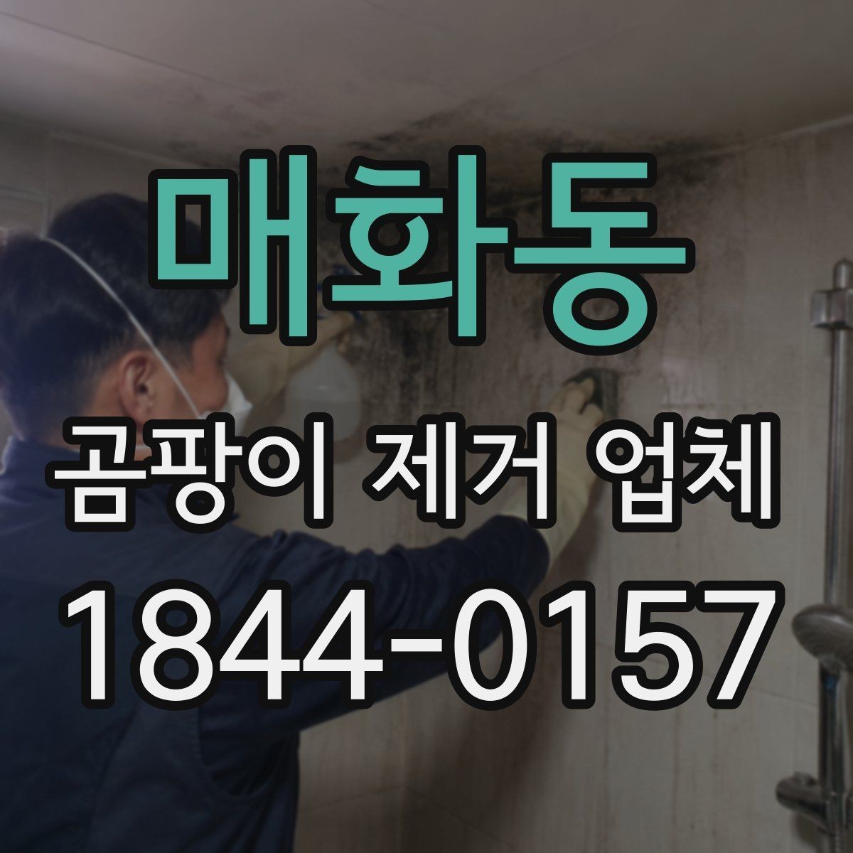 매화동 곰팡이 제거 업체 작업 범위를 명확히 묻는 법