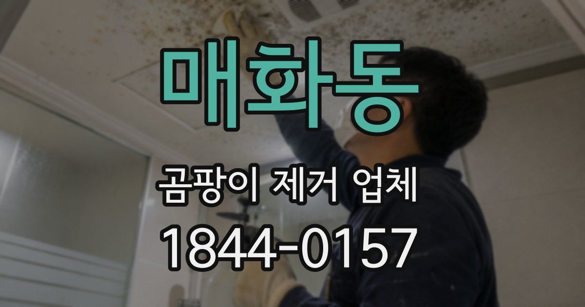 매화동 곰팡이 제거 업체