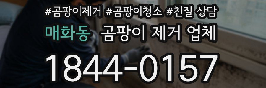 매화동 곰팡이 제거 업체