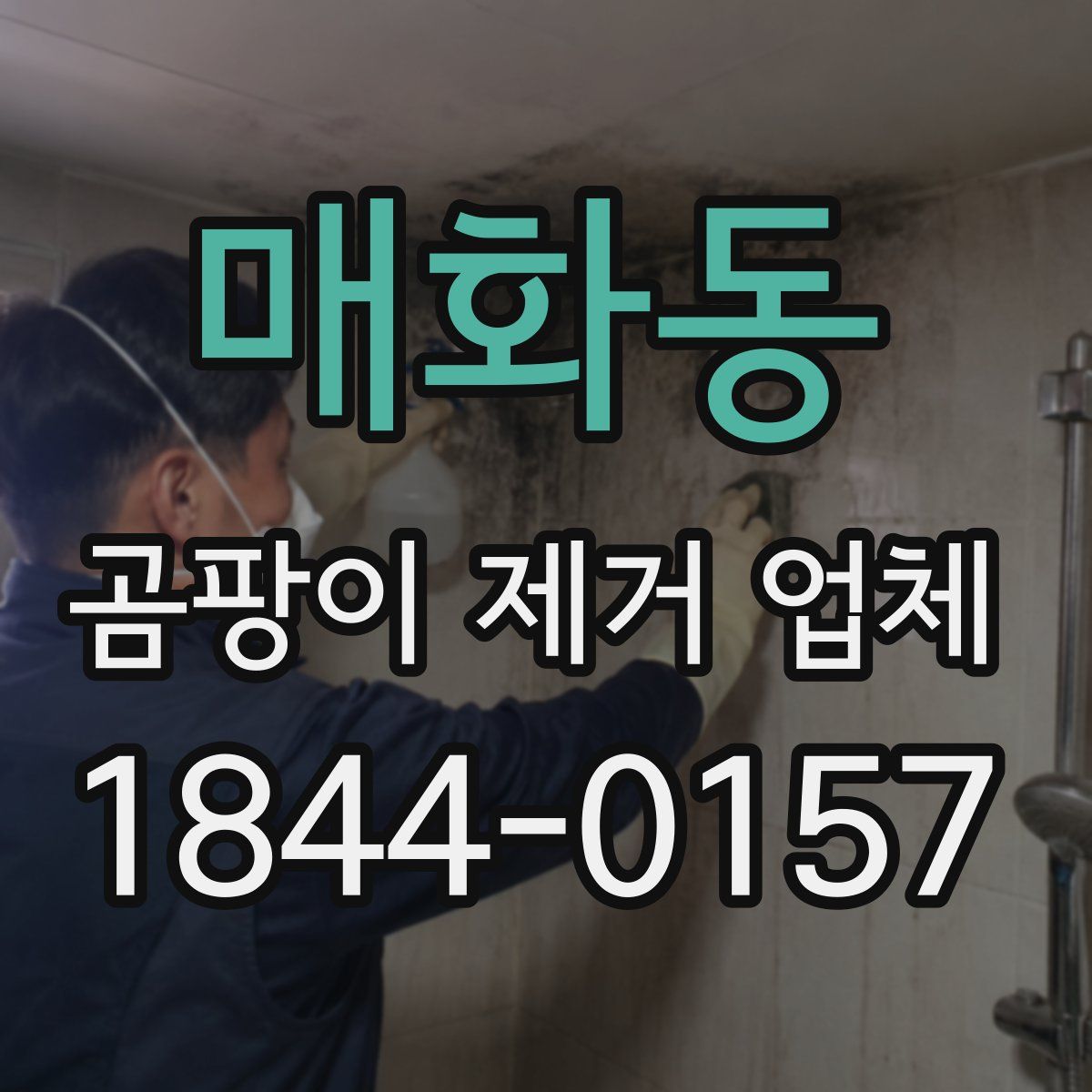 매화동 곰팡이 제거 업체
