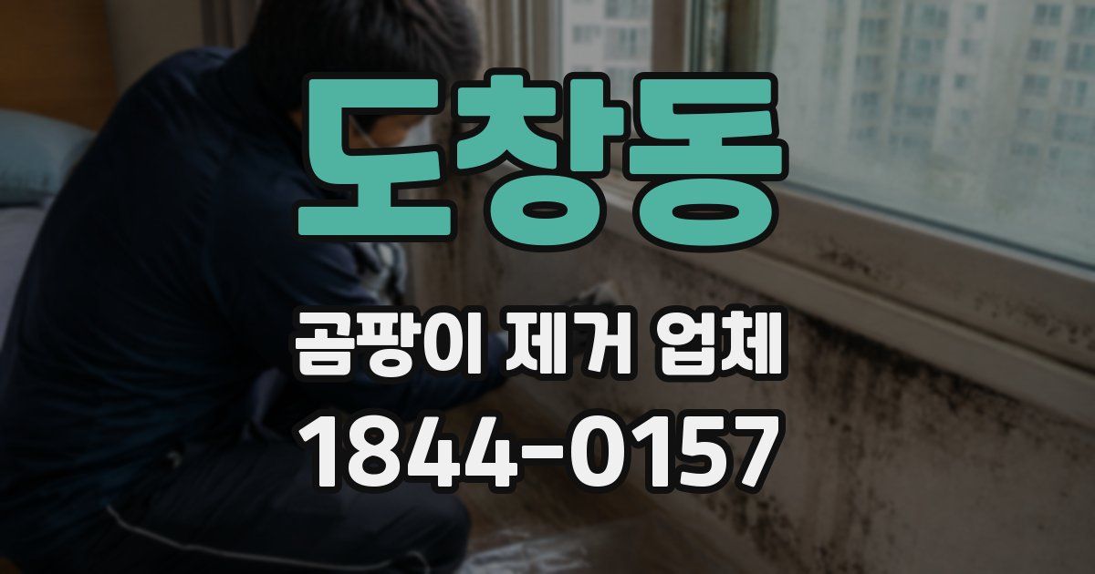 도창동 곰팡이 제거 업체