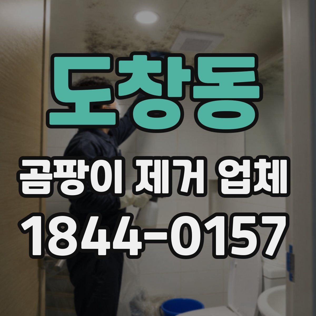 도창동 곰팡이 제거 업체