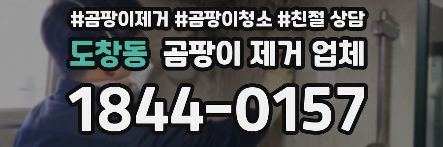도창동 곰팡이 제거 업체
