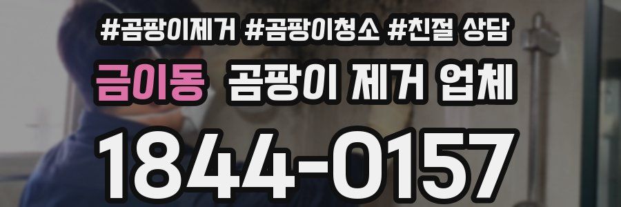 금이동 곰팡이 제거 업체