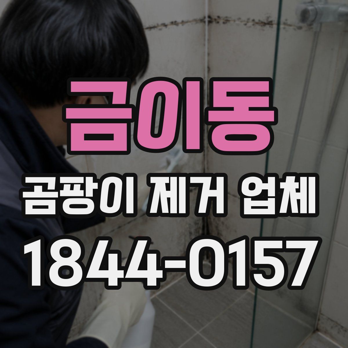 금이동 곰팡이 제거 업체