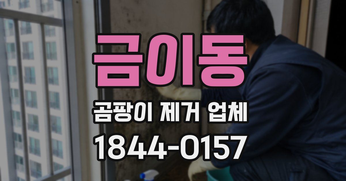 금이동 곰팡이 제거 업체