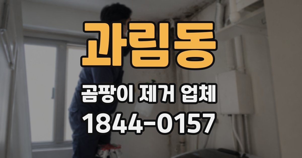 과림동 곰팡이 제거 업체