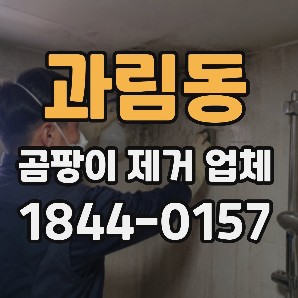 과림동 곰팡이 제거 업체