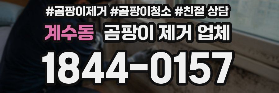 계수동 곰팡이 제거 업체