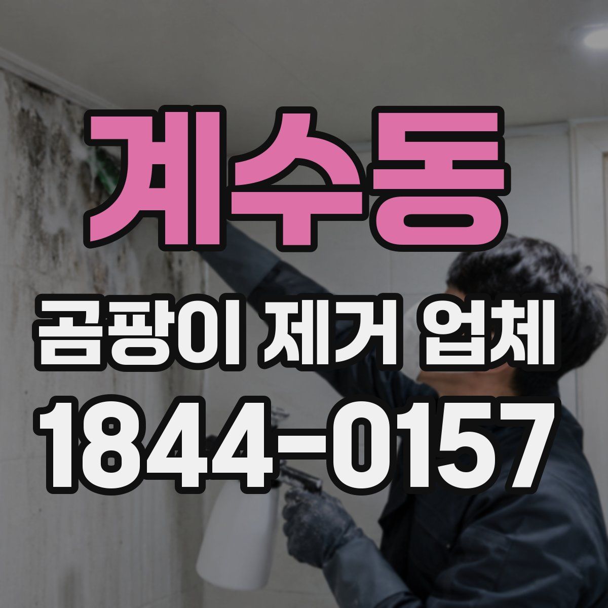 계수동 곰팡이 제거 업체