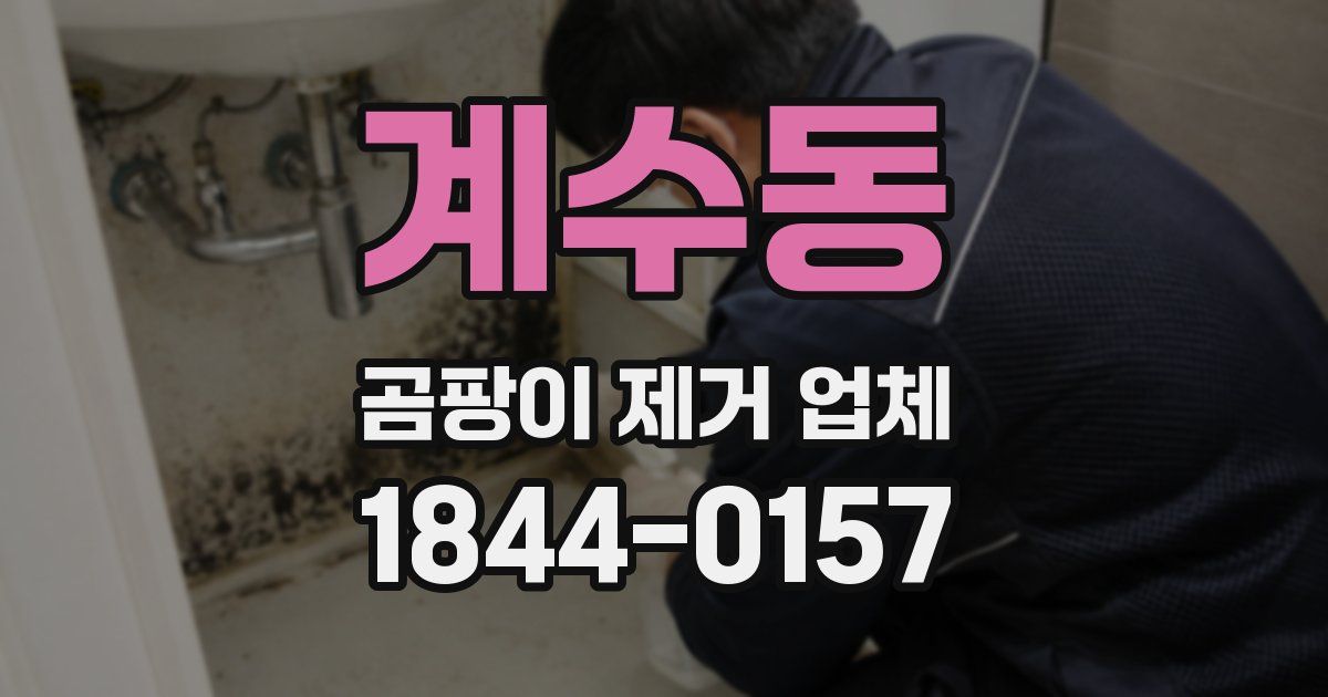 계수동 곰팡이 제거 업체