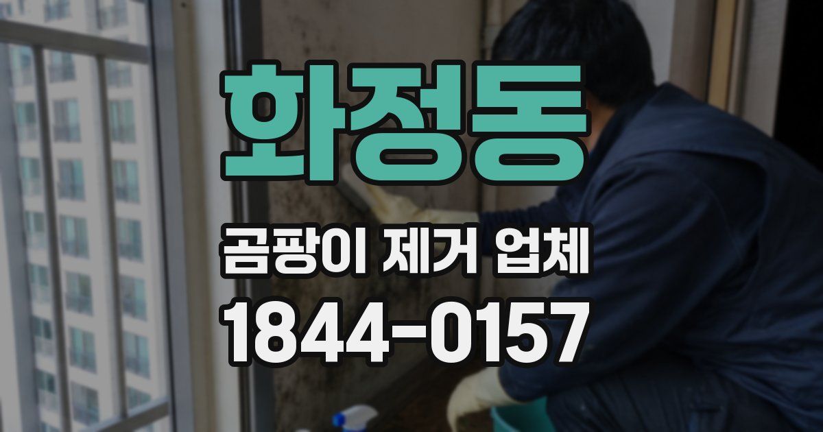 화정동 곰팡이 제거 업체