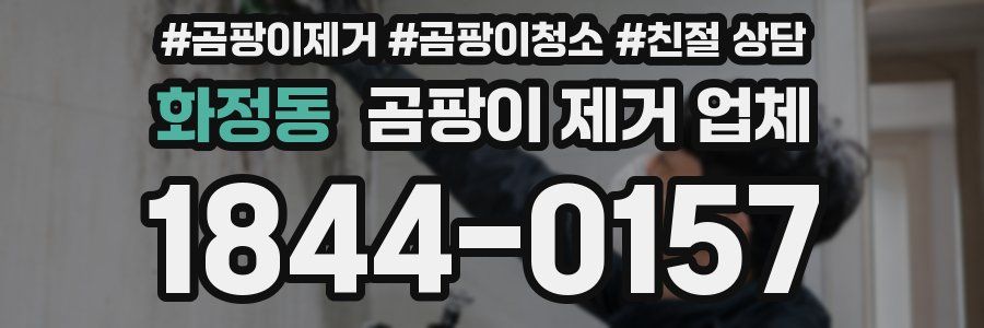 화정동 곰팡이 제거 업체