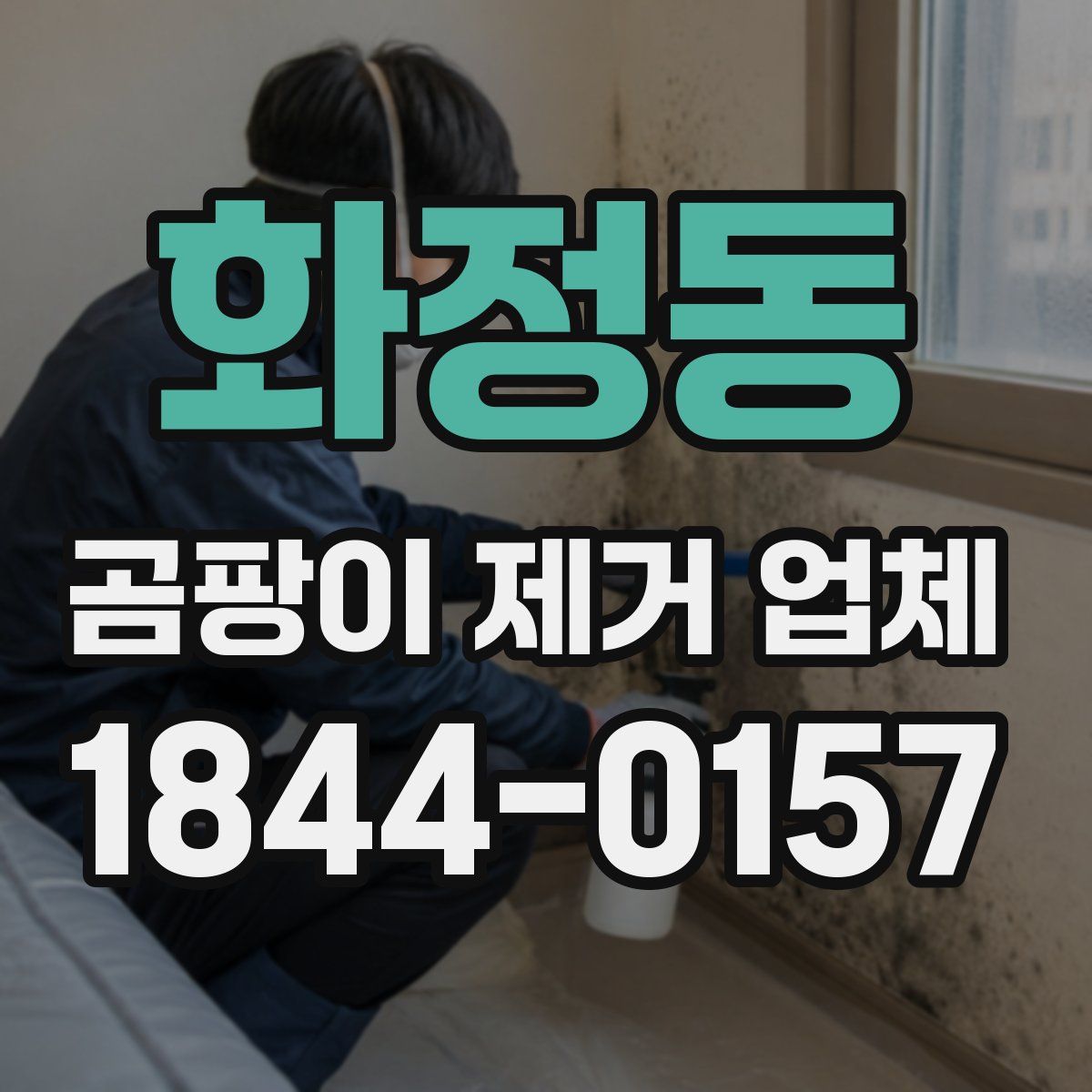 화정동 곰팡이 제거 업체