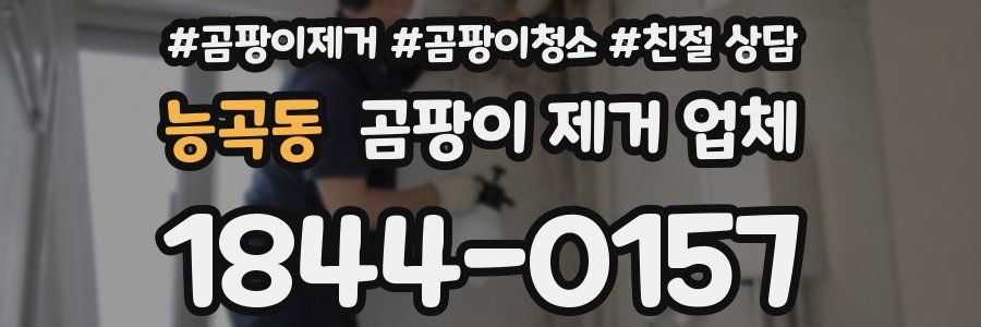 능곡동 곰팡이 제거 업체