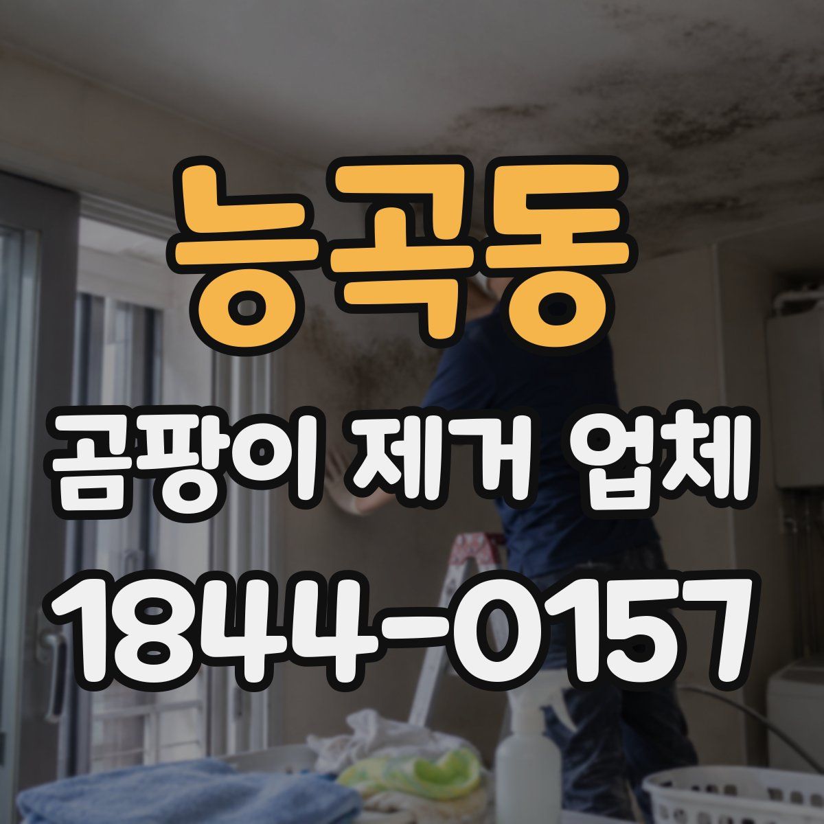 능곡동 곰팡이 제거 업체